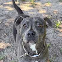 Thumbnail photo of Gretchen #2