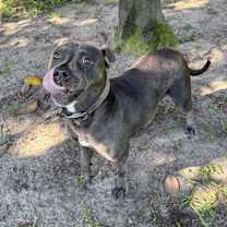 Thumbnail photo of Gretchen #3