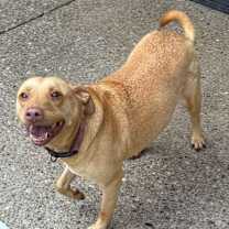 Thumbnail photo of Sky #2