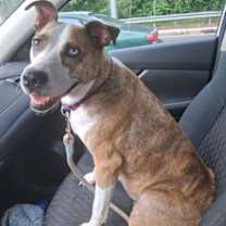 Thumbnail photo of Hymn #2