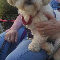 Thumbnail photo of Ralphie #1