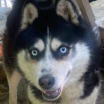 Thumbnail photo of Kaia (Middle East) KP #3