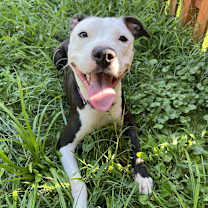 Thumbnail photo of Violet #4