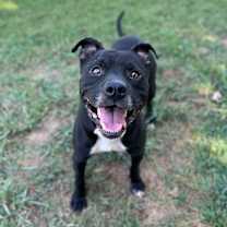 Thumbnail photo of Matteo #3