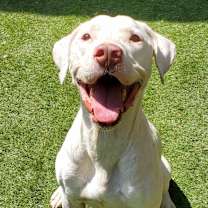 Thumbnail photo of Archer JuM #2