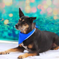 Thumbnail photo of Tinka JuM* #2