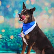 Thumbnail photo of Tinka JuM* #3