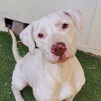 Thumbnail photo of Archer JuM #4