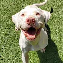 Thumbnail photo of Archer JuM #3