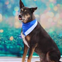 Thumbnail photo of Tinka JuM* #4