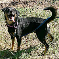 Thumbnail photo of JACK #1