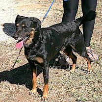 Thumbnail photo of JACK #2