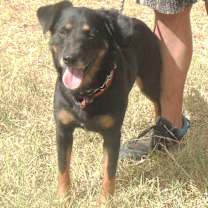 Thumbnail photo of JACK #4