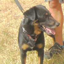 Thumbnail photo of JACK #3