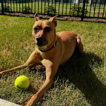 Thumbnail photo of Jaxs #3