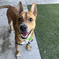 Thumbnail photo of Blooper #4