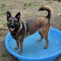 Thumbnail photo of Mimi #4