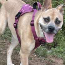 Thumbnail photo of Libby Lou #4