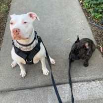 Thumbnail photo of Taz #4