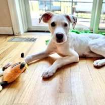 Thumbnail photo of Twix #1