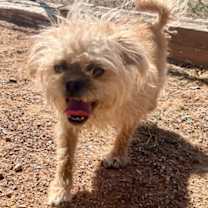 Thumbnail photo of Phyllis Diller #1