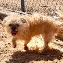 Thumbnail photo of Phyllis Diller #3