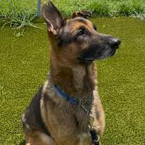 Thumbnail photo of TRIGGER #4