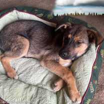 Thumbnail photo of Belinda #1