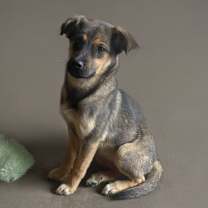 Thumbnail photo of Belinda #2