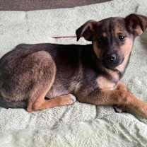 Thumbnail photo of Belinda #3