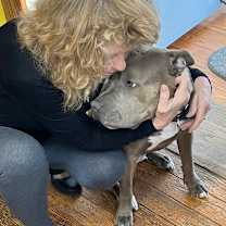 Thumbnail photo of Tilly #3