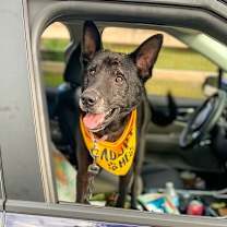 Thumbnail photo of Jett #4