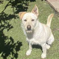 Thumbnail photo of Liam #3