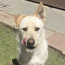 Thumbnail photo of Liam #4