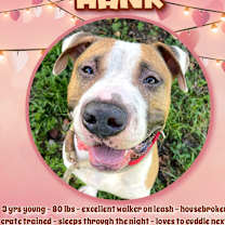 Thumbnail photo of Hank #1