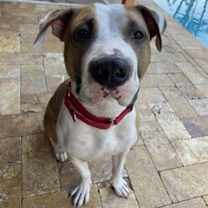 Thumbnail photo of Hank #2