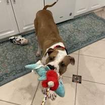 Thumbnail photo of Hank #3