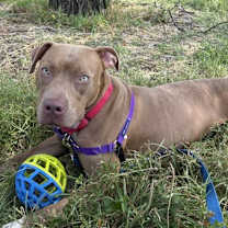 Thumbnail photo of Kaisen #2