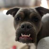 Thumbnail photo of Lala #4