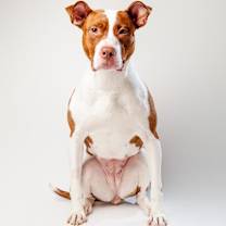 Thumbnail photo of Hoops #4