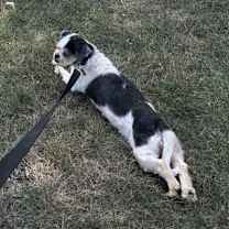 Thumbnail photo of Chat #2