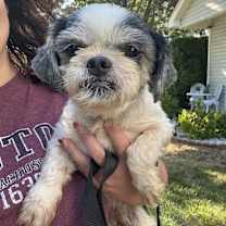 Thumbnail photo of Chat #4