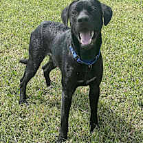 Thumbnail photo of Burt #2