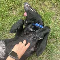 Thumbnail photo of Burt #3