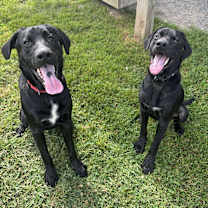 Thumbnail photo of Burt #4