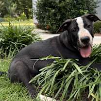 Thumbnail photo of Dora #1