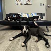 Thumbnail photo of Dora #4