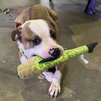 Thumbnail photo of Danny #4