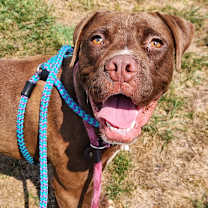 Thumbnail photo of Bagels #1