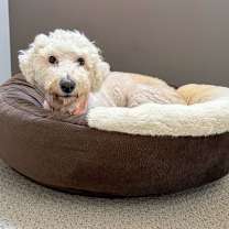 Thumbnail photo of Clementine #4